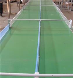 Конвейера ленточные с перегородкой из оргстекла